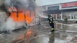 Тушение пожара на рынке в Новой Москве сняли на видео
