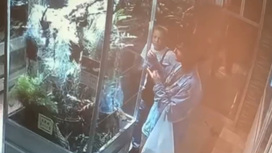 Похищение ящерицы из Ленинградского зоопарка попало на видео