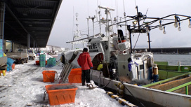 "Путин рассердился": японские рыбаки страдают от антироссийских санкций