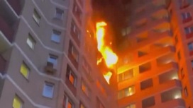 Горящие квартиры в многоэтажке в Троицке сняли на видео