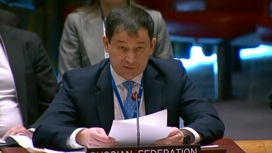 РФ будет добиваться расследования диверсий на "Северных потоках", заявил Полянский