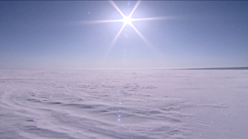 Пять человек получили арктический гектар в Красноярском крае