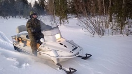Отслеживать диких зверей в заповедных местах Ямала будут на снегоходах