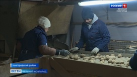 Новгородские аграрии ведут подготовку техники и семян к предстоящей посевной