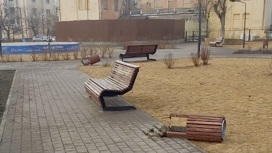 В Астрахани в парке "Дружба" вандалы вырвали урны