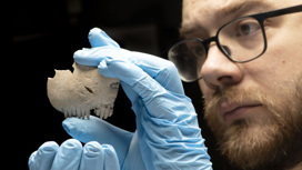 Гребень из человеческого черепа найден в Великобритании
