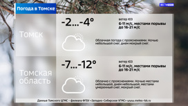 Переменная облачность и – 4 градуса: погода в Томске 8 марта