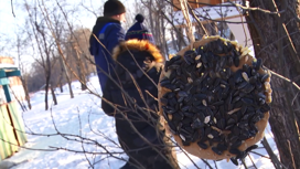 В Красноярском крае изготовили более тысячи кормушек для пернатых