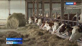 Фермерские хозяйства Хабаровского края получат беспрецедентные меры поддержки