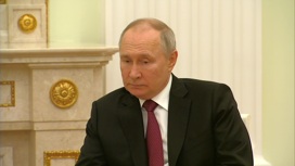 Владимир Путин отметил вклад России в стабилизацию обстановки в Сирии