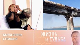 Бледанс – о теракте на Крымском мосту