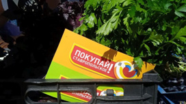 В Ставрополе открылись две ярмарки выходного дня