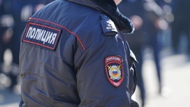 Жаловавшаяся на сожителя нетрезвая дама с ножом напала на полицейского