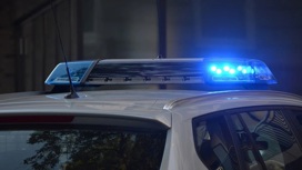 В Ярославле водитель иномарки сбил пятилетнюю девочку