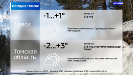 Небольшой снег и +3°С: погода в Томской области в среду