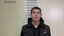 Участника мошеннической схемы "ваш родственник попал в ДТП" задержали в Тобольске