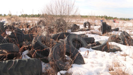 Несанкционированную свалку обнаружили экологи возле аэропорта Кольцово