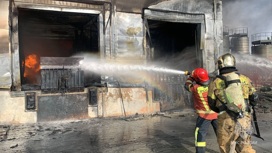 Огонь охватил 4 тысячи квадратных метров в Арамиле
