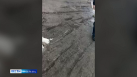 Коммунальщики убрали снег вместе с асфальтом, заборами и зелеными насаждениями