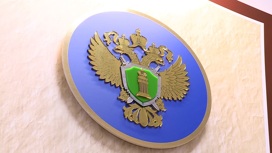 Поддельный диплом выявили у заведующей отделом культуры администрации Матвеевского района
