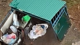 Жительница Балашихи "заказала" убийство матери подросткам