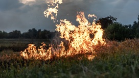 Сезон пожаров стартовал: сотрудники лесхозов испытывают новую технику