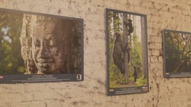 Экспозиция «100 чудес света» представлена в гимназическом корпусе Радищевского музея
