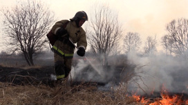 В Хабаровске и еще четырех районах края введен особый противопожарный режим