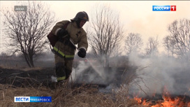 В Хабаровске и еще четырех районах края введен особый противопожарный режим