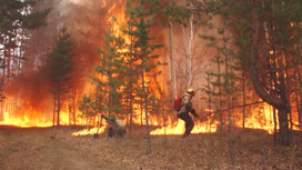 Лесной пожар ликвидировали в Улетовском районе