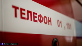 Причиной перехода природных пожаров на населенные пункты томские специалисты назвали поджоги травы