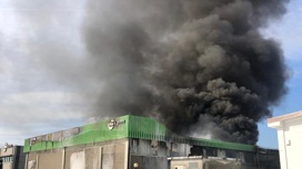 Крупный пожар на итальянском химзаводе сняли очевидцы