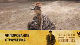 Ташкентский зоопарк Серия 9
