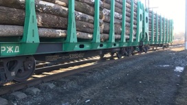 Тепловоз и два грузовых вагона сошли с рельсов в Удмуртии