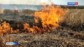 В Орловской области потушили три возгорания сухой травы
