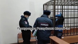 Фото: скрин из видео Прокуратуры Республики Марий Эл