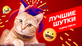 Лучшие шутки в день смеха