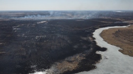 Более двух десятков палов и природных пожаров тушат сегодня в Амурской области