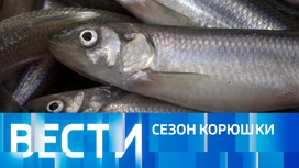 Эфир от 01.04.2023 (11:00)