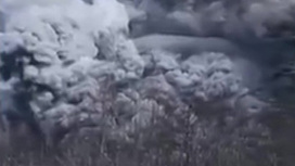 Вулкан Шивелуч на Камчатке выбросил столб пепла высотой 20 км