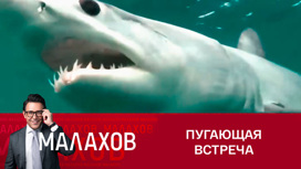 Как путешественник Федор Конюхов сразился с акулой