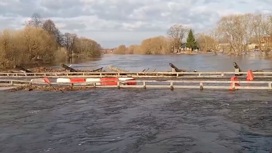 Мост в Холуе Ивановской области освободился от воды