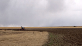 Иннопрактика: раннее аграрное образование в России: любовь к земле и к Родине