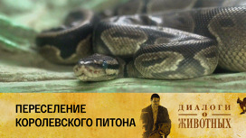 Ташкентский зоопарк Серия 13