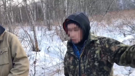 Сотрудники ФСБ задержали браконьера, застрелившего амурского тигра