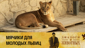 Ташкентский зоопарк Серия 14