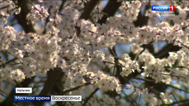 Жители КБР планируют отметить майские праздники на природе