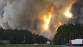 Ситуацию с ландшафтными пожарами усложняет сильный ветер