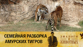 Ташкентский зоопарк Серия 15