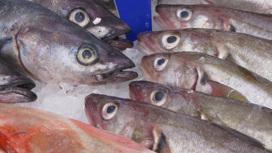 Российский импорт рыбопродукции снизился на 40 процентов